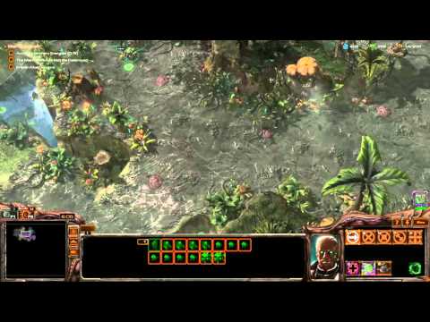 Starcraft 2: Annihilation 12 - Reawakening