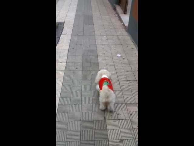 Vídeo relacionado con I Paused My Game To Be Here - Suéter feo de Navidad Sudadera