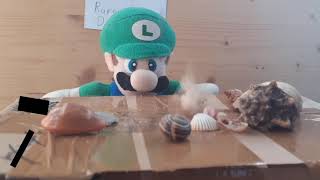 Luigi sells sea shells on a shore plush edition