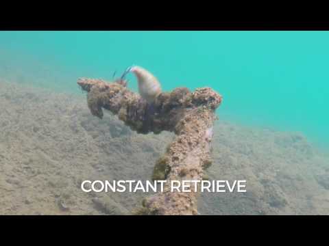 Rapala BX Big Brat 7cm 21g DEL F