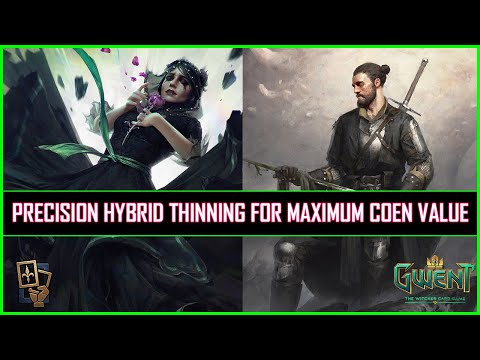 Gwent | Precision Hybrid Thinning For Maximum Coen Value!