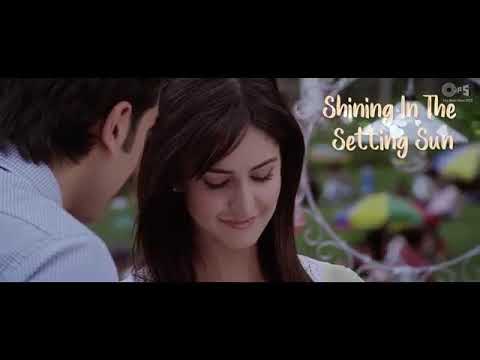 Shining in the shading sunlight pollop in the ocean now see me