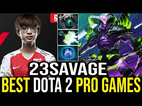 23Savage - Faceless Void | Dota 2 Pro Gameplay [Learn Top Dota]