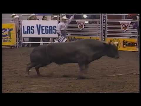 PBR 1997: Moody Blues 48 point out