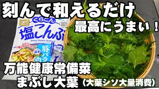 大葉の簡単レシピ 切ってまぶすだけ【まぶし大葉】 作り置き常備菜 副菜 健康 美容美肌ダイエット 節約 大量消費 おにぎり お弁当 塩昆布 保存食 茄子料理