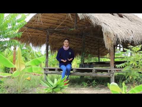 เกษตรทฤษฎีใหม่(7/8): โคก หนอง นา ดาราโมเดล ตอนที่ 2