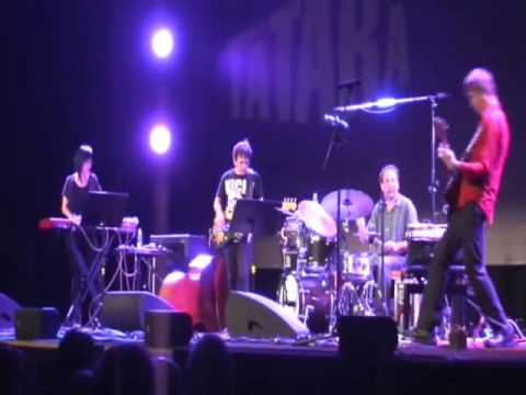 Nels Cline Singers Jazzfestival Saalfelden2011