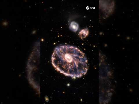 Zoom into the Cartwheel Galaxy 🔍