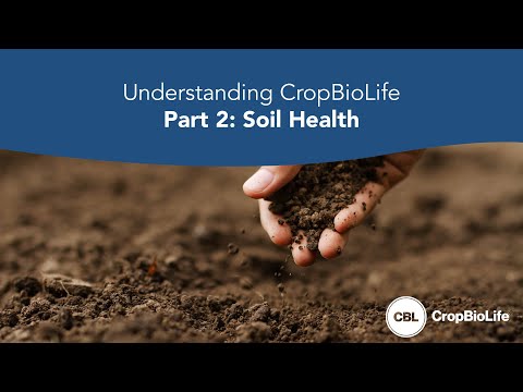 Understanding CropBioLife Part 2: Soil Health