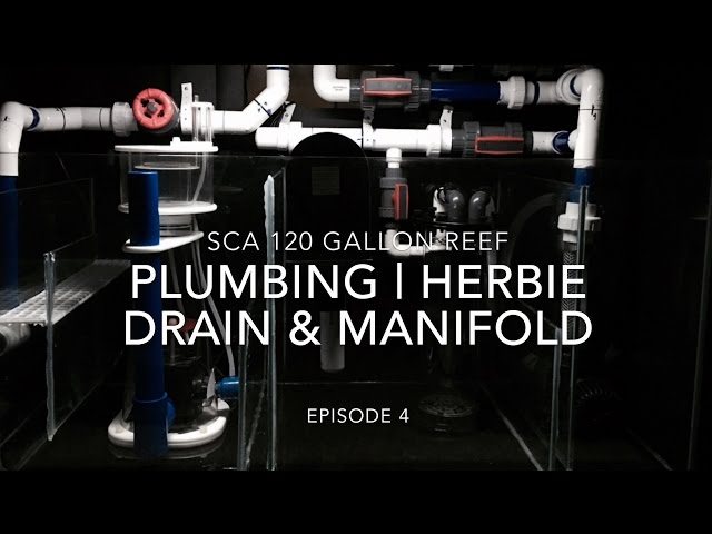 SCA 120 Gallon Reef Tank | Ep.4 | Plumbing - Herbie Drain & Manifold Install