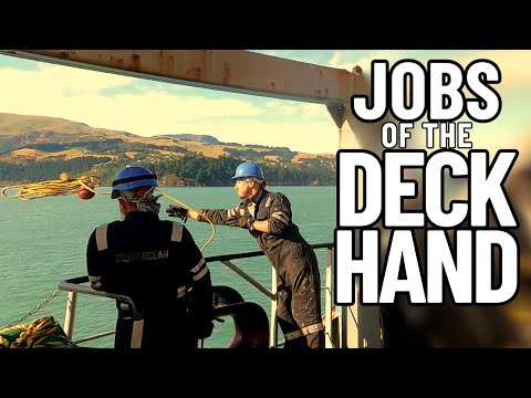 THE MANY JOBS OF THE DECKHAND | ABLE- BODIED SEAMAN | DECK DEPARTMENT