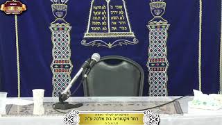 בית המדרש "תורת דוד" ¤ שידור חי ¤ ג' טבת תשפ"ו (23.12.2025) (מוסדות תורת דוד) - התמונה מוצגת ישירות מתוך אתר האינטרנט יוטיוב. זכויות היוצרים בתמונה שייכות ליוצרה. קישור קרדיט למקור התוכן נמצא בתוך דף הסרטון