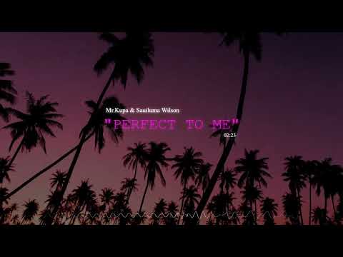 Mr. Kupa & Vera Wilson - Perfect To Me (Official Audio)