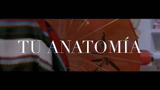 Like la leyenda Tu anatomía