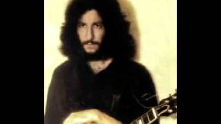 Peter Green - To Break Your Heart (1981)