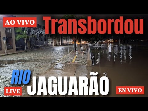 ⚠️CUIDADO! FRONTEIRA URUGUAI (RIO BRANCO) e BRASIL (JAGUARÃO) #aovivo  #uruguai #envivo #live