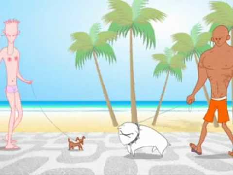 Animação GAY O PIT BULL