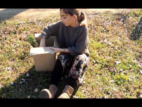 Tierra, fuente de vida