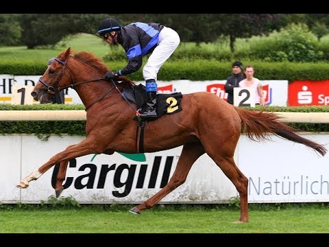 Krefeld: Preis der German Tote Wettannahmestelle Krefeld (D) - Sieger: Red Pepper