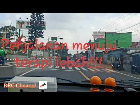 Terapi Lebah di pa hj. Endun