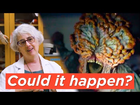 Can Cordyceps Evolve to Infect Humans? The Last of Us Science Explained by a Biologist