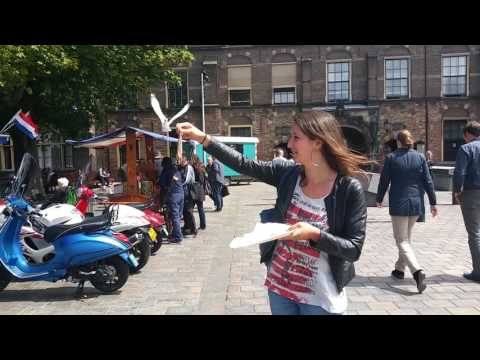 Meeuwen happen haring weg