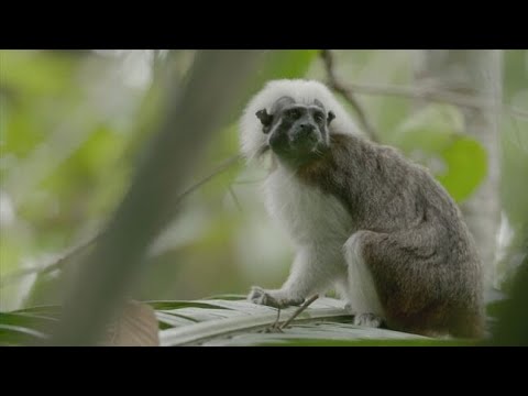 Dall'alba al tramonto: Ep. 1 - Una calda giornata nel nuovo mondo