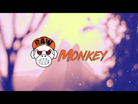 Extiler - The DarkSide (XTRA RAW) [MONKEY TEMPO]