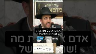 הרב מאיר אליהו | תאכל מה שבישלת 🥘 #סוד #חזרהבתשובה #הרב_מאיר_אליהו (הרב מאיר אליהו) - התמונה מוצגת ישירות מתוך אתר האינטרנט יוטיוב. זכויות היוצרים בתמונה שייכות ליוצרה. קישור קרדיט למקור התוכן נמצא בתוך דף הסרטון