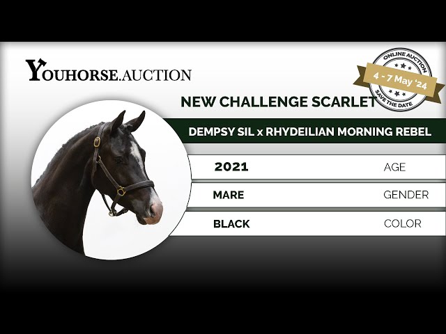 New Challenge Scarlett