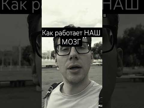 простыми словами КАК РАБОТАЕТ НАШ МОЗГ #мотивация #мотиватор