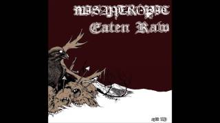 Misantropic-No Pasaran