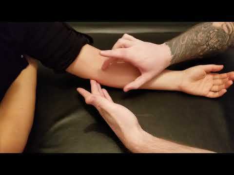 Muscle Palpation - Pronator Teres