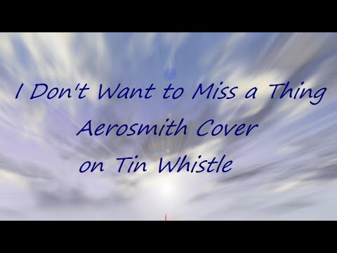 I Don't Want to Miss a Thing - Aerosmith Cover on Tin Whistle