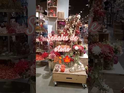 Señales de otoño 🍁| autum lovers #autumn #thefall