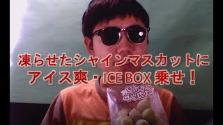 凍らせたシャインマスカットにアイス爽・ICE BOXを乗せ！