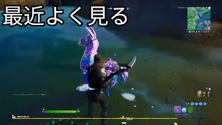 [生声実況]ラマよありがとう