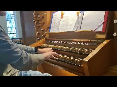 GL 175,2: Halleluja-Intonation