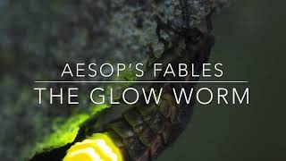 Aesop’s Fables The Glow Worm