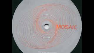 The Wise Caucasian ‎– Remixed & Remastered - Bonus #1
