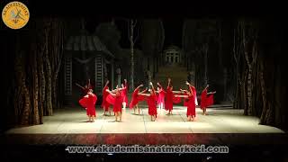 Akademi Sanat Merkezi - Modern Dans " Palladio: I. Allegretto "