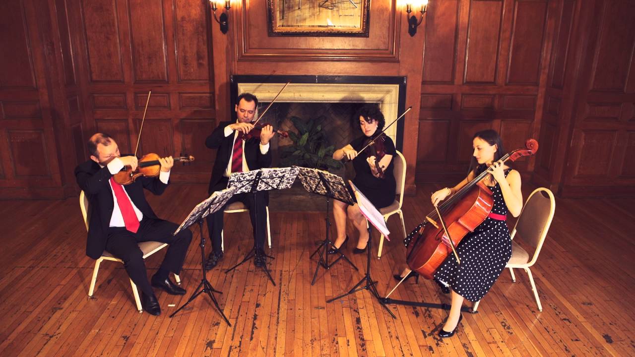 Promotional video thumbnail 16 for Alexandra NYC Cellist and Strings