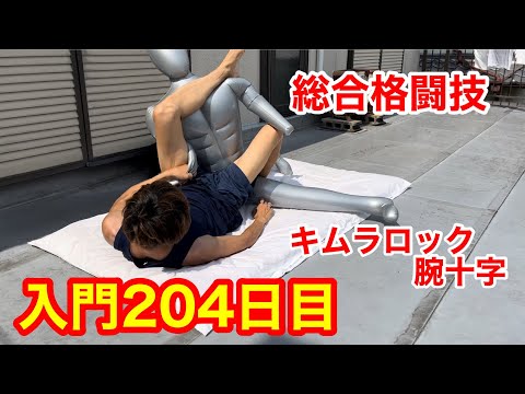総合格闘技入門204日目 ガードポジションからのキムラロック&腕十字固め  #shorts