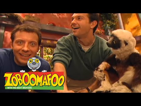 Zoboomafoo 115 - Fling (Full Episode)