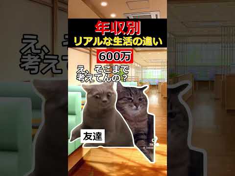 【猫ミーム】年収別「買えるもの・我慢するもの」の違いがエグすぎる　#猫ミーム #shorts #社会人 #会社員 #あるある