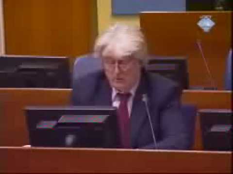 Karadžić se zahvaljuje Tuđmanu i Izetbegoviću