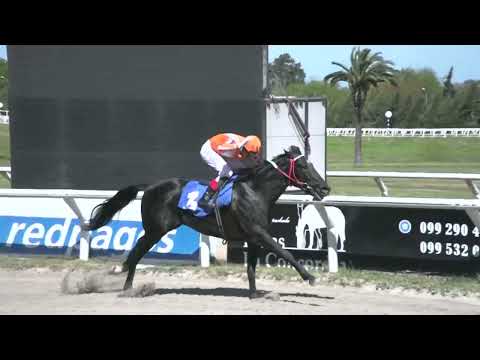 220916 c01 - XICO BOY - HIPODROMO LAS PIEDRAS