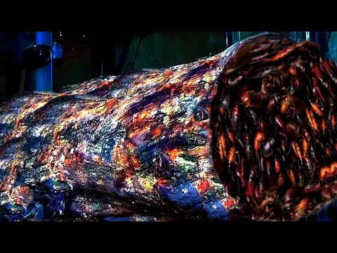 Now Extinct, The Beauty Of Rosewood Generated 2 Billion In Wealth From Abroad - Sawmill