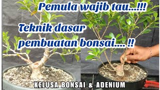 Download lagu Basic techniques for making bonsai // Making basic movements mp3