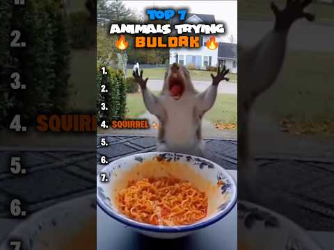 Top 7 Sora Ai Animals Trying the Spiciest Buldak Noodles ☠️🔥 #shorts #compilation #sora2 #animals